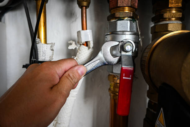 Best Local Plumber Services  in North Redington Beach, FL